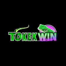 tokekwin APK Tower Defense